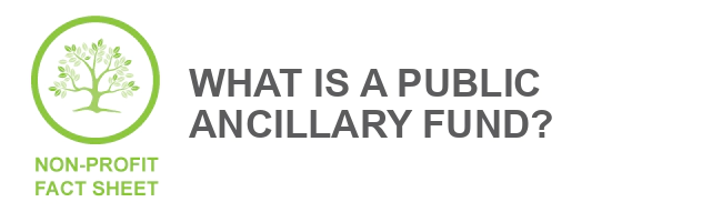 What is a public ancillary fund