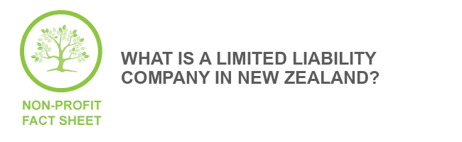 Limited liability company new zealand