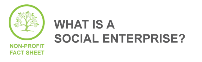 What is a social enterprise